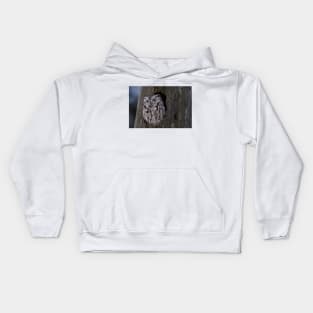 Eastern Screech-Owl Kids Hoodie